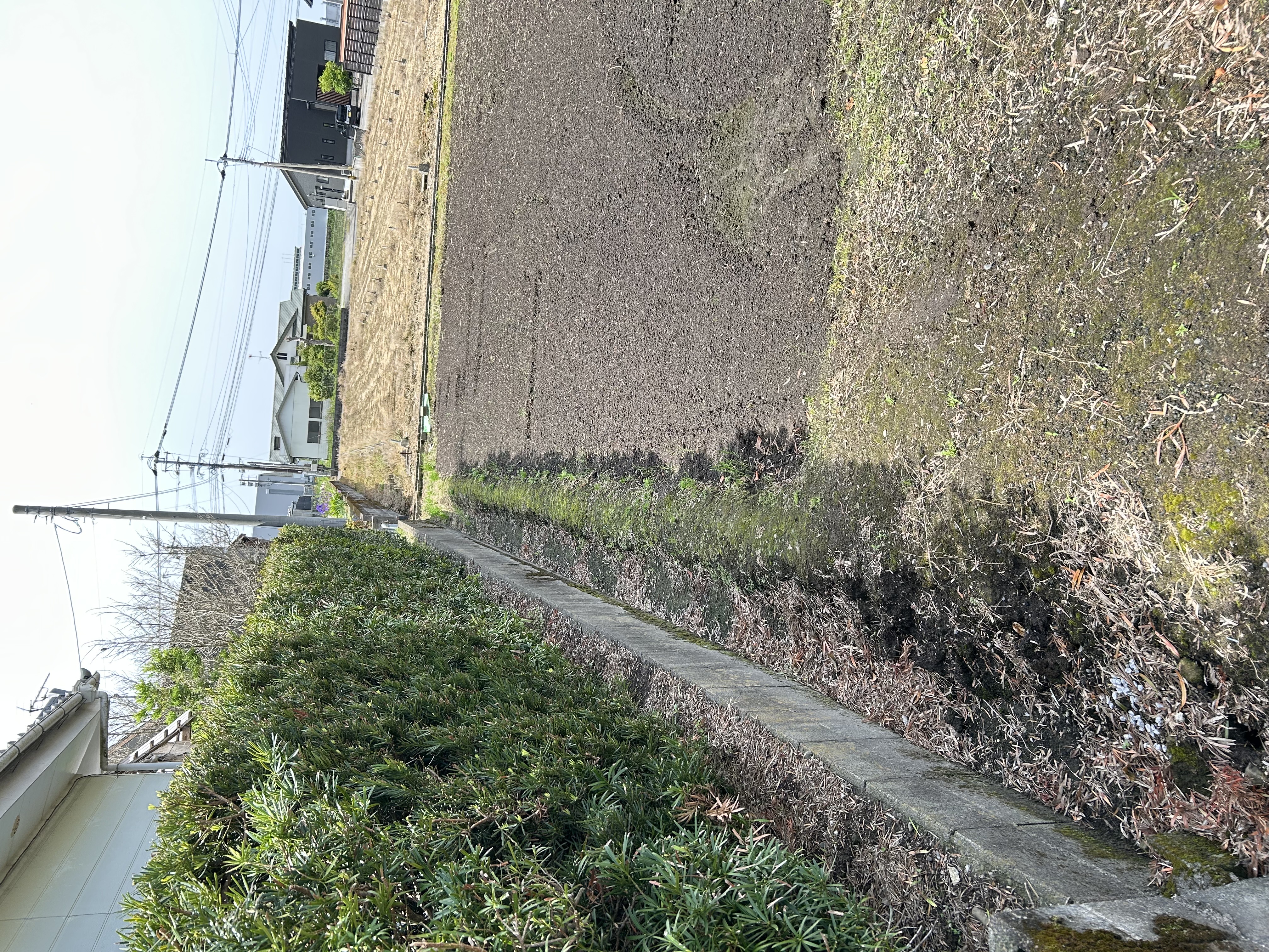 土地の時効取得、あなたの権利を守る秘訣！